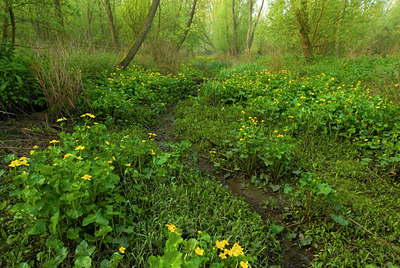 BUITEN BEELD Foto: 56630