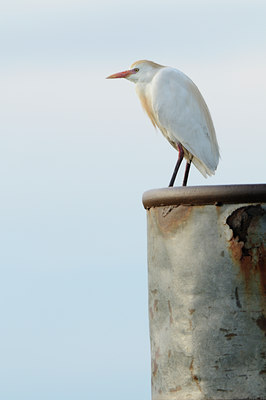 BUITEN BEELD Foto: 56680