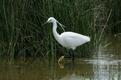 BUITEN BEELD Foto: 56682