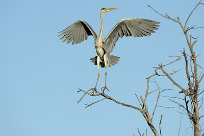 BUITEN BEELD Foto: 56698