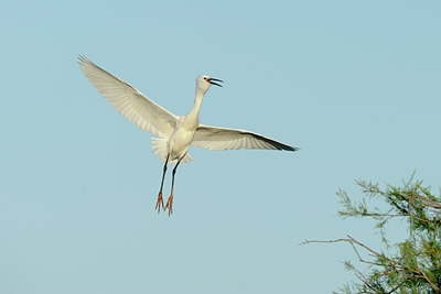 BUITEN BEELD Foto: 56702