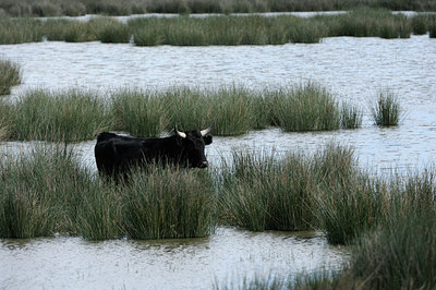 BUITEN BEELD Foto: 56707