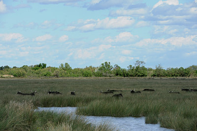 BUITEN BEELD Foto: 56709