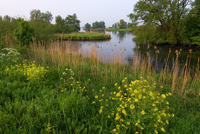 BUITEN BEELD Foto: 56761