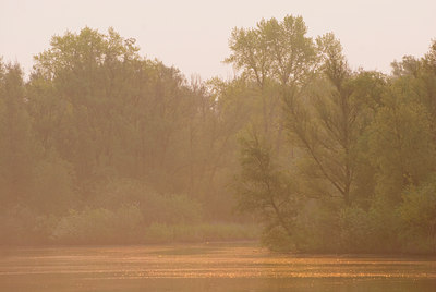 BUITEN BEELD Foto: 56762