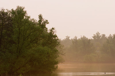 BUITEN BEELD Foto: 56765