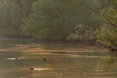 BUITEN BEELD Foto: 56766