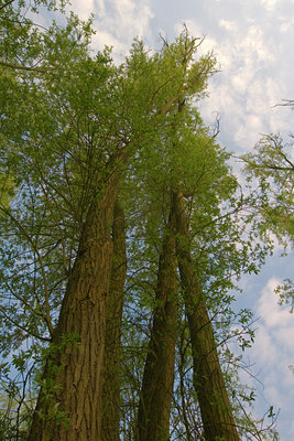 BUITEN BEELD Foto: 56770