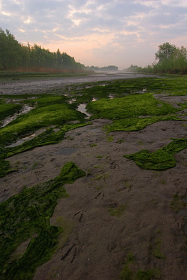 BUITEN BEELD Foto: 56773
