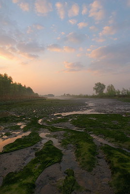 BUITEN BEELD Foto: 56774