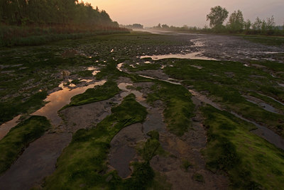 BUITEN BEELD Foto: 56775