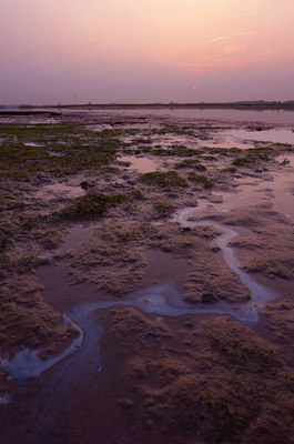 BUITEN BEELD Foto: 56776