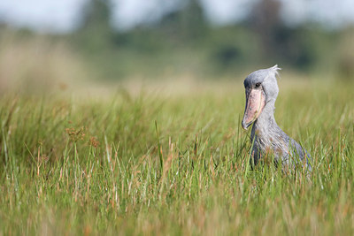 BUITEN BEELD Foto: 56779