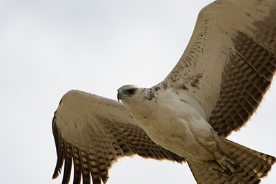 BUITEN BEELD Foto: 56932
