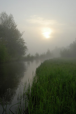 BUITEN BEELD Foto: 56939
