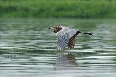 BUITEN BEELD Foto: 56951