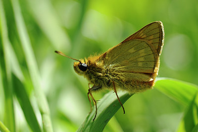 BUITEN BEELD Foto: 56998