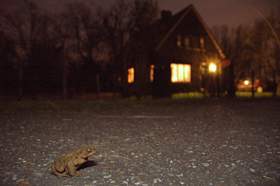 BUITEN BEELD Foto: 57045