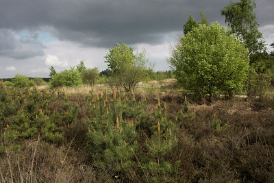BUITEN BEELD Foto: 57047