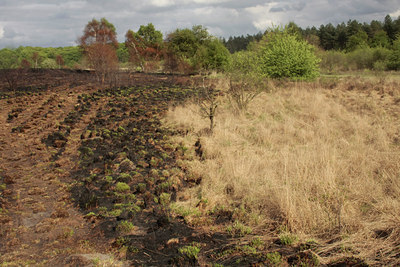 BUITEN BEELD Foto: 57050