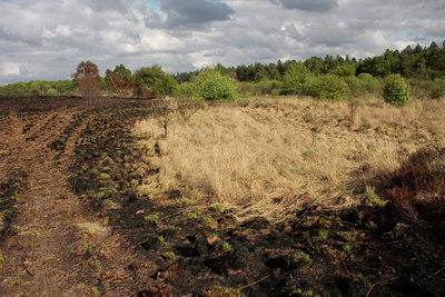 BUITEN BEELD Foto: 57055