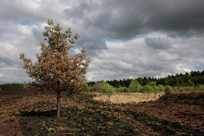 BUITEN BEELD Foto: 57060
