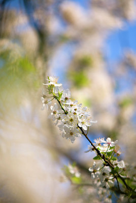 BUITEN BEELD Foto: 57061