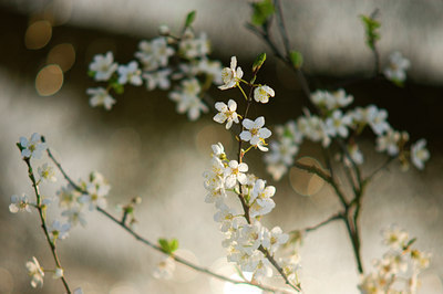 BUITEN BEELD Foto: 57066