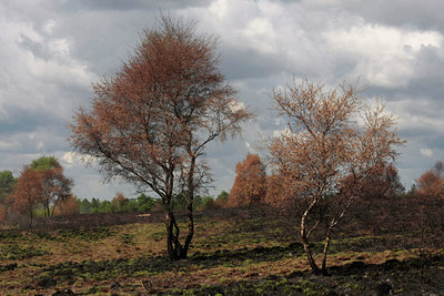 BUITEN BEELD Foto: 57069