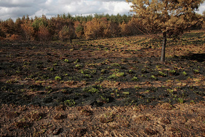 BUITEN BEELD Foto: 57075