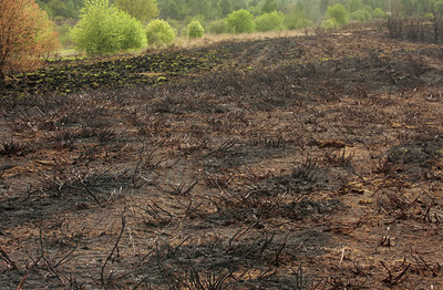 BUITEN BEELD Foto: 57079