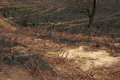 BUITEN BEELD Foto: 57081