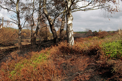 BUITEN BEELD Foto: 57085