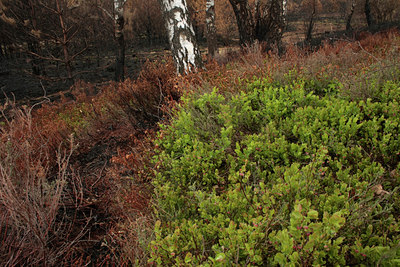 BUITEN BEELD Foto: 57087
