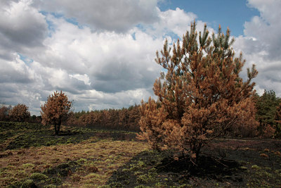 BUITEN BEELD Foto: 57091