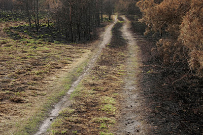 BUITEN BEELD Foto: 57094