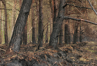 BUITEN BEELD Foto: 57095