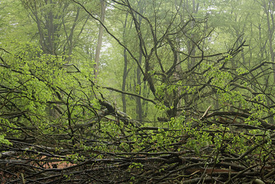 BUITEN BEELD Foto: 57102