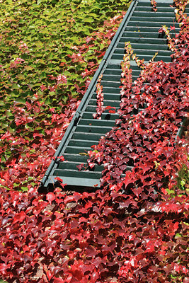 BUITEN BEELD Foto: 57108