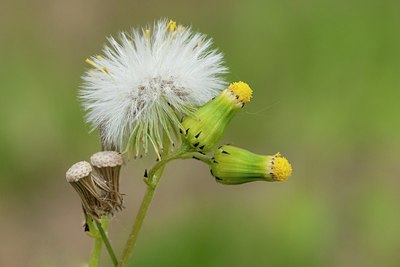 BUITEN BEELD Foto: 57158