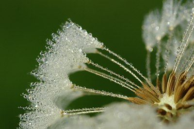 BUITEN BEELD Foto: 57162