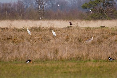 BUITEN BEELD Foto: 57189