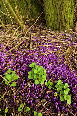 BUITEN BEELD Foto: 57231