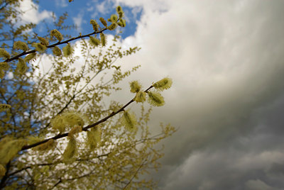 BUITEN BEELD Foto: 57233