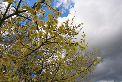BUITEN BEELD Foto: 57234