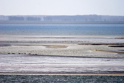 BUITEN BEELD Foto: 57235