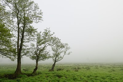 BUITEN BEELD Foto: 57251