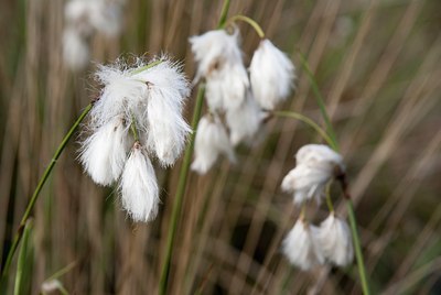 BUITEN BEELD Foto: 57273