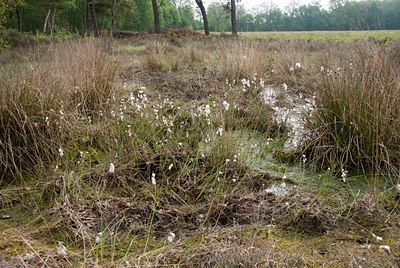 BUITEN BEELD Foto: 57275