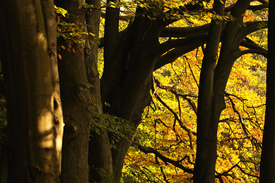 BUITEN BEELD Foto: 57291